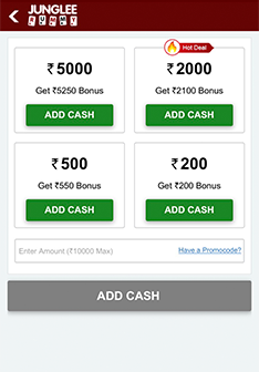 Add Cash from game lobby