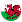 Wales team icon
