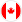 Canada team icon