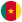 Cameroon team icon