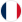 France team icon